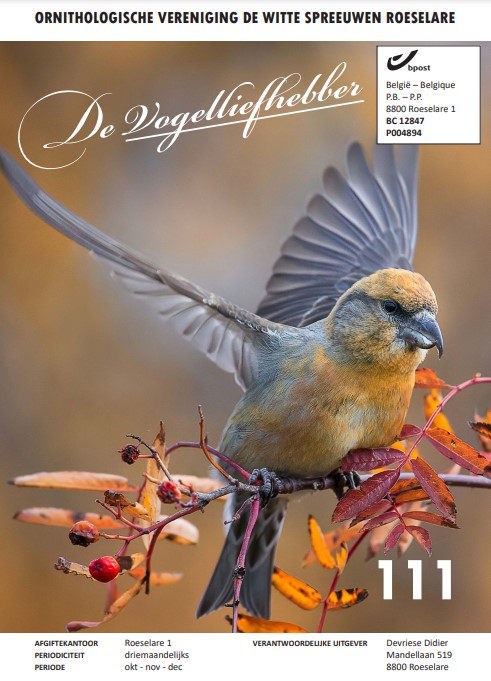 Voorblad De Vogelliefhebber 111 2022 04.png